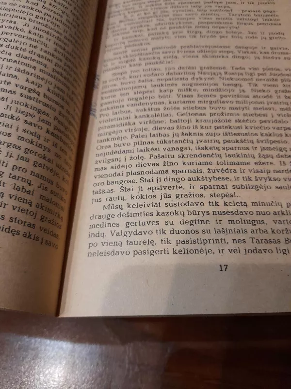 Tarasas Bulba - N. Gogolis, knyga 3