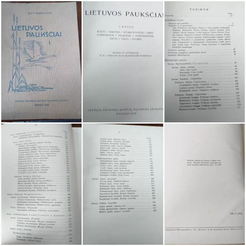 Lietuvos paukščiai I knyga (1938 m.) - Tadas Ivanauskas, knyga