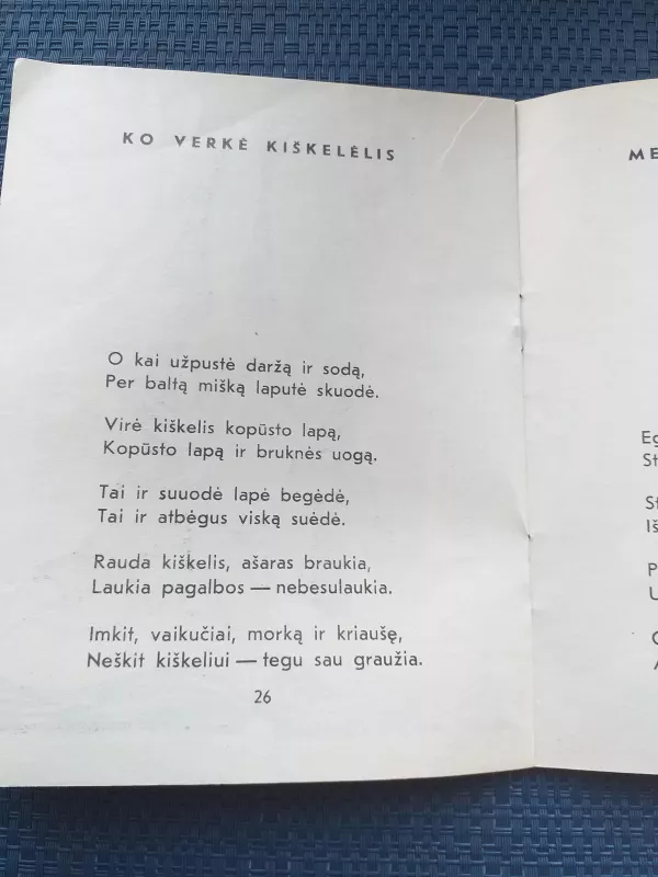 A.Puišytė Ledo mergelės,1974 m - Aldona Puišytė, knyga 3
