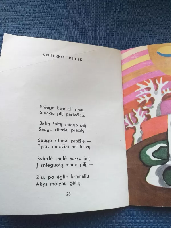 A.Puišytė Ledo mergelės,1974 m - Aldona Puišytė, knyga 2