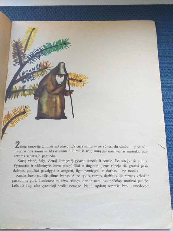 Darbštuolis Ivanas - Autorių Kolektyvas, knyga 3