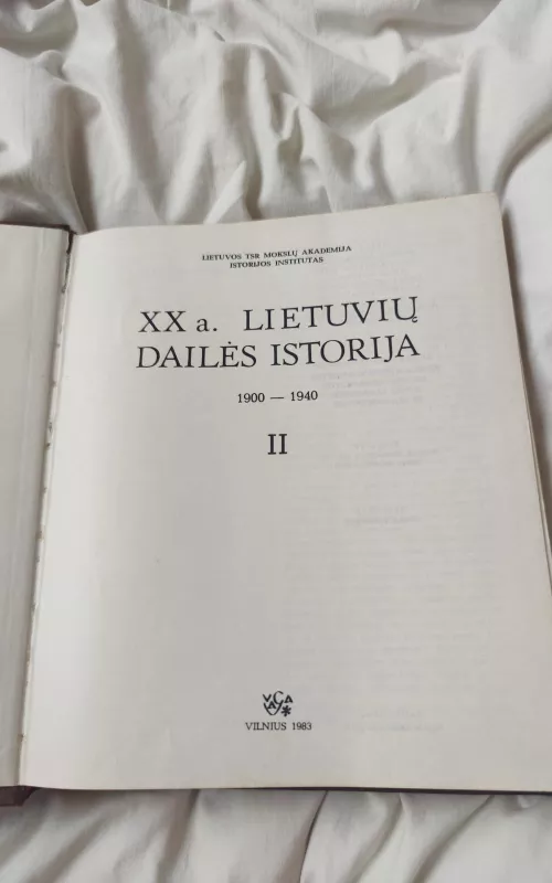 XX a. lietuvių dailės istorija 1900-1940 (II tomas) - Autorių Kolektyvas, knyga