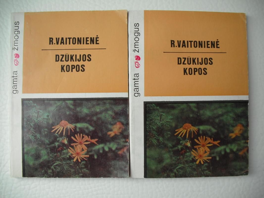 Dzūkijos kopos - R. Vaitonienė, knyga 3