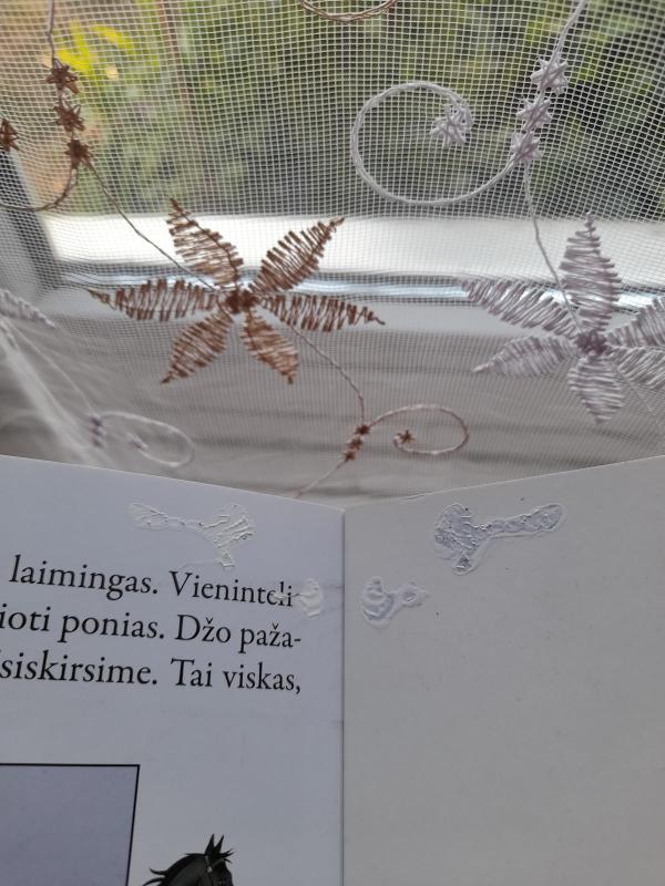 Juodasis gražuolis - Duncan Crosbie, knyga 3