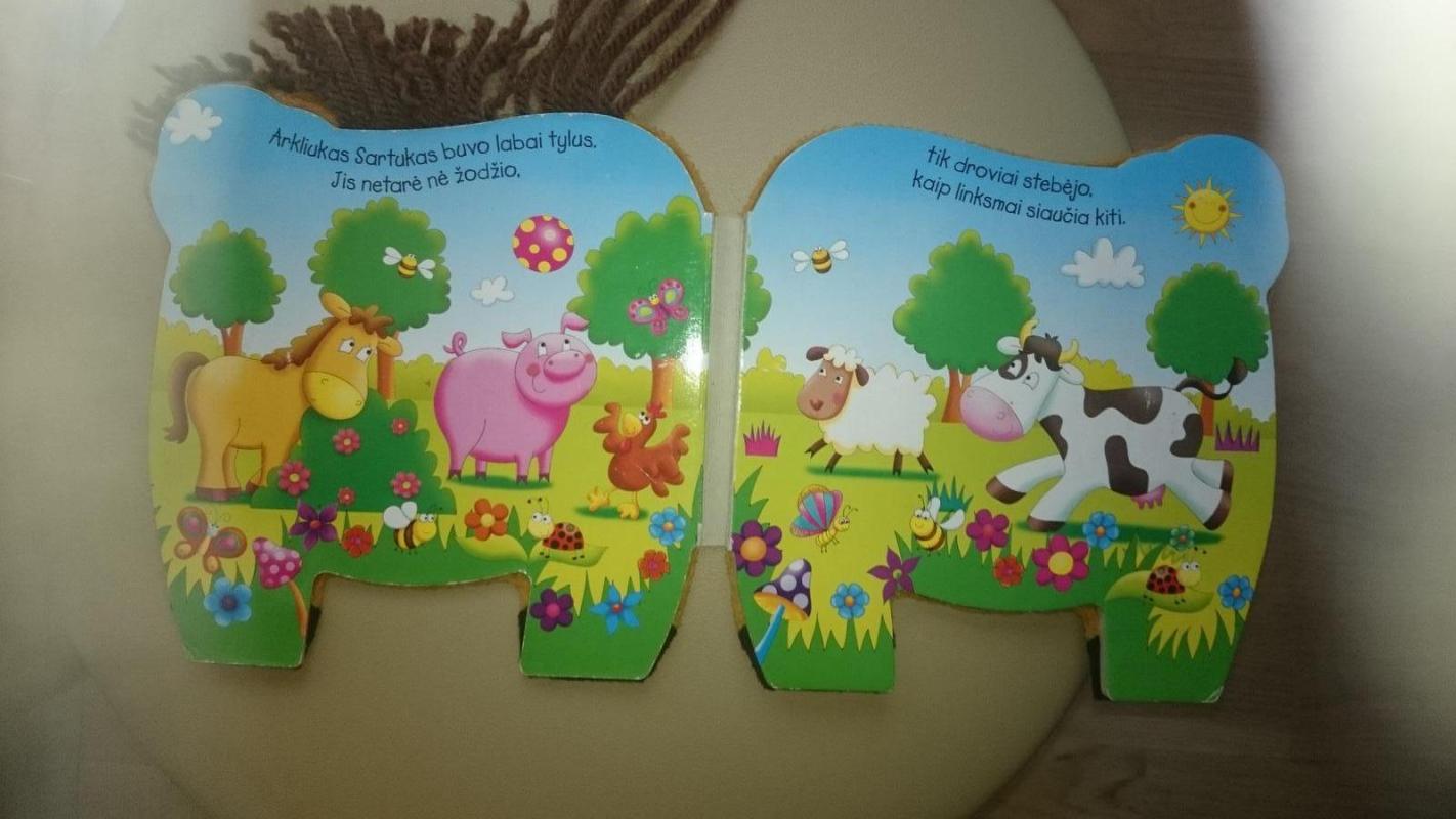 Arkliukas Sartukas - Autorių Kolektyvas, knyga 2