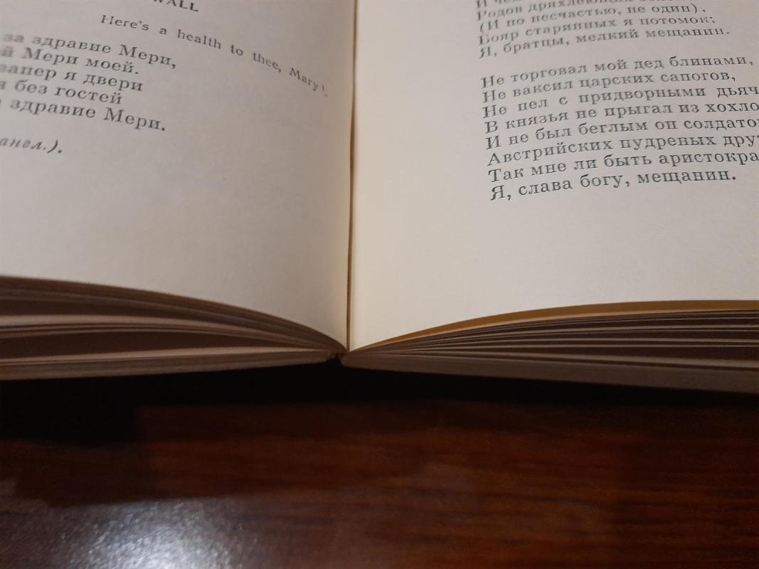 Стихотворения и поэмы - Александр Сергеевич Пушкин, knyga 4