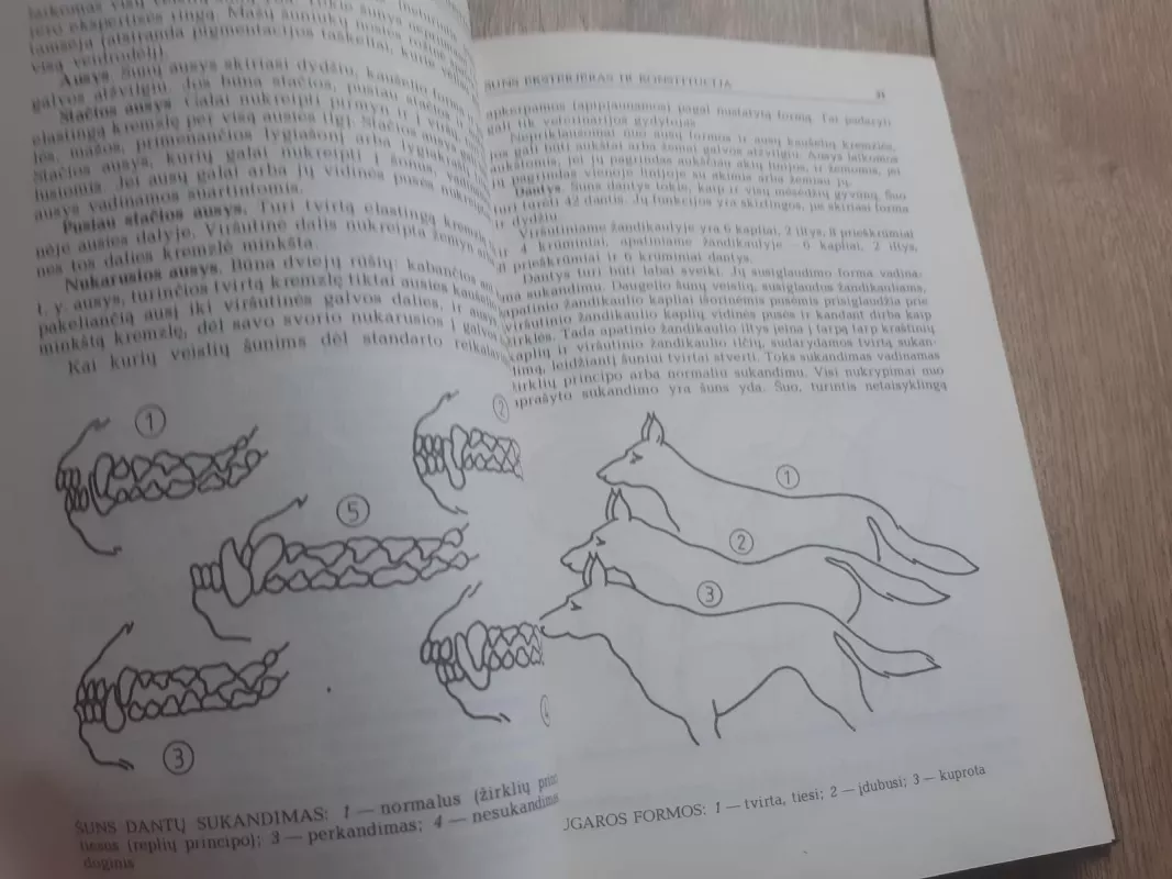 Tarnybinė ir dekoratyvinė šunininkystė - Karolis Masilionis, knyga 2