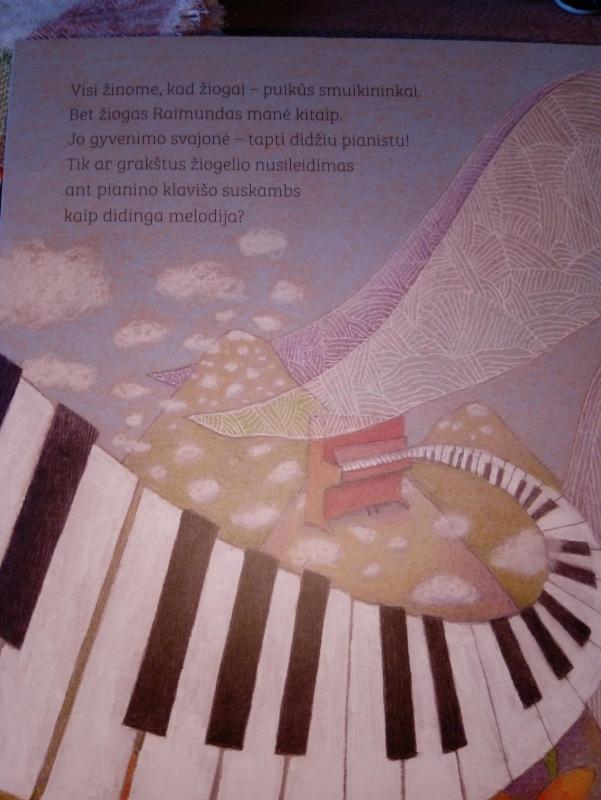 Pasaka apie smuikininką Raimundą - Lapė Do, knyga 4