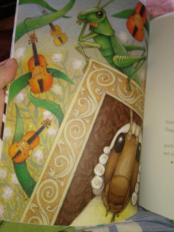 Pasaka apie smuikininką Raimundą - Lapė Do, knyga 3