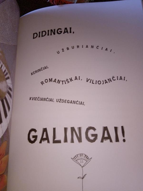 Pasaka apie smuikininką Raimundą - Lapė Do, knyga 2