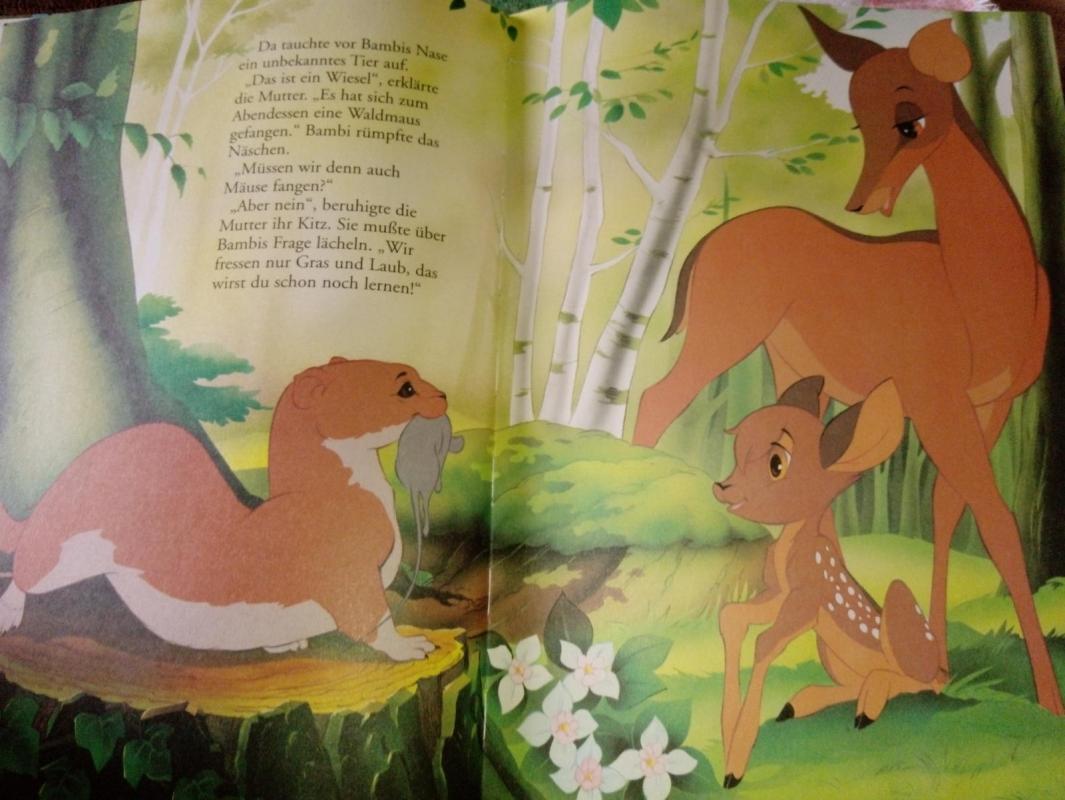 Bambi - Van Gool, knyga 4