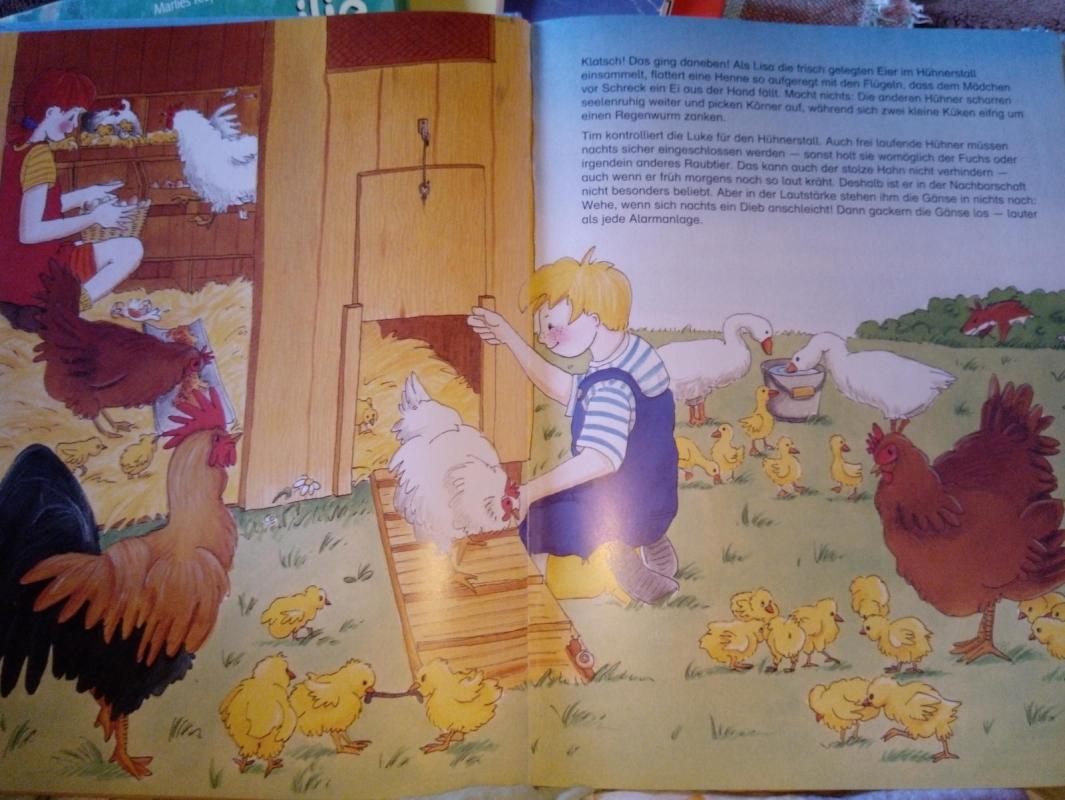 Das Leben auf dem Bauernhof - Maike Petersen, knyga 3