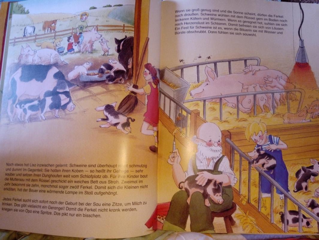 Das Leben auf dem Bauernhof - Maike Petersen, knyga 2