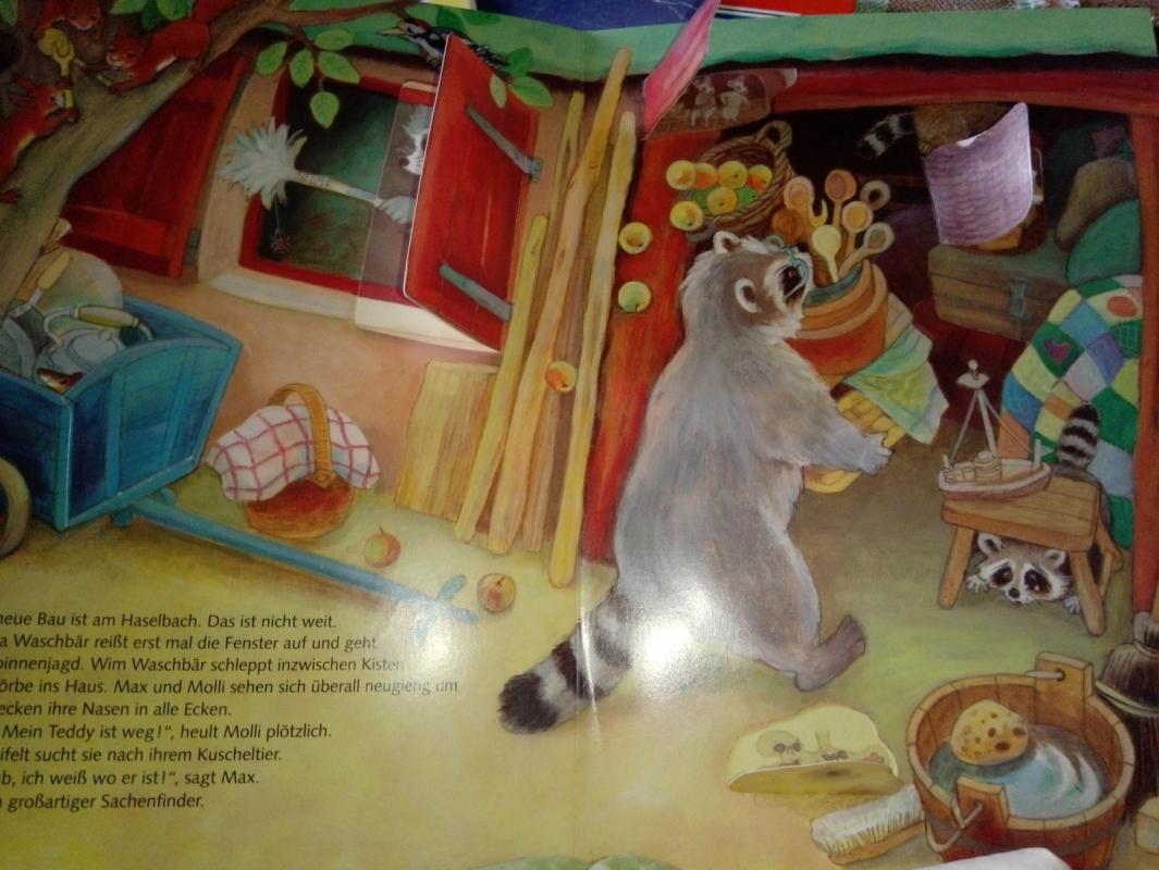 Schau rein bei Familie Waschbär - Marlies Rieper-Bastian, knyga 3