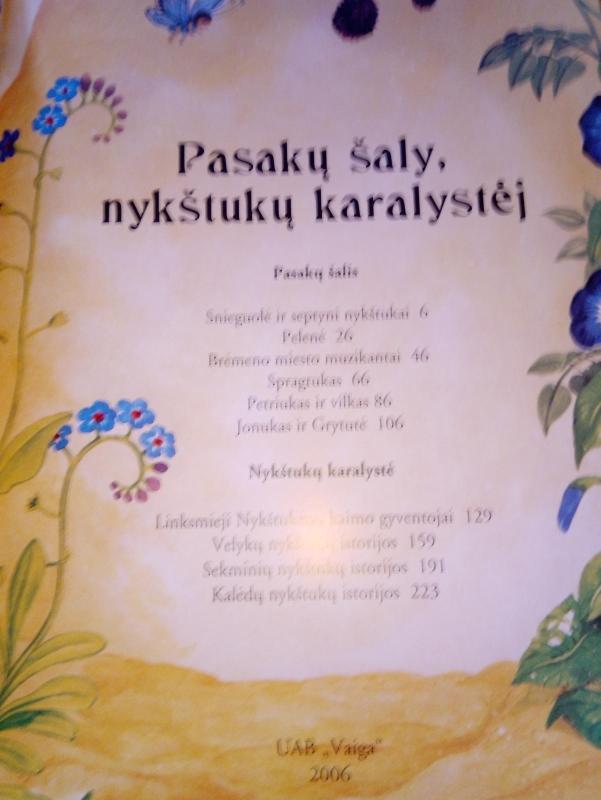 Pasakų šaly, nykštukų karalystėj - Anne Suess, knyga 2