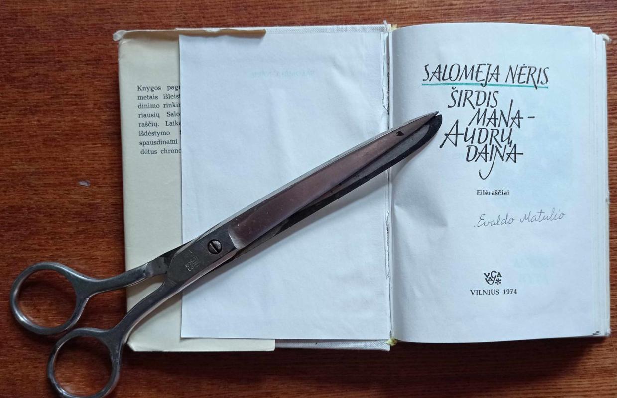 Širdis mana-audrų daina - Salomėja Nėris, knyga 3