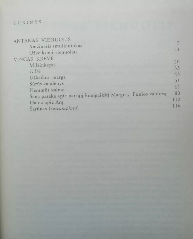 Lietuvių neoromantizmo literatūra - Agnė Iešmantaitė, knyga 2