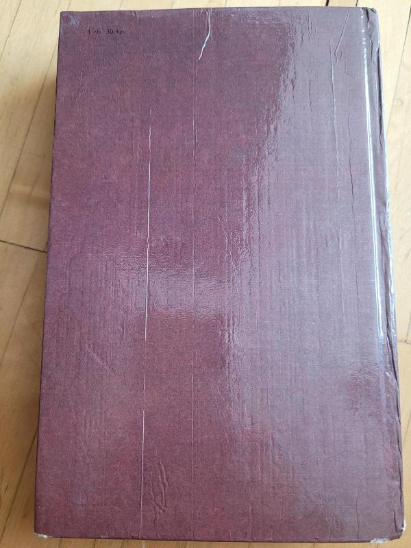 Tomo Sojerio nuotykiai. Heklberio Fino nuotykiai - Markas Tvenas, knyga 2