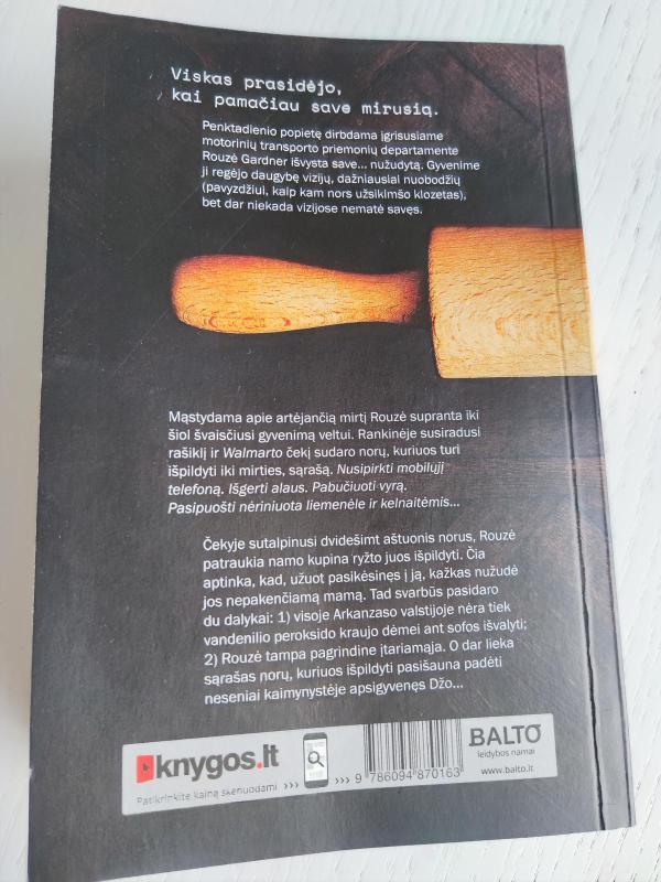 DVIDEŠIMT AŠTUONI SU PUSE NORO. Kaip norėtum praleisti likusį gyvenimą, jei vieną dieną išvystum save mirusią? - Denise Grover Swank, knyga 4