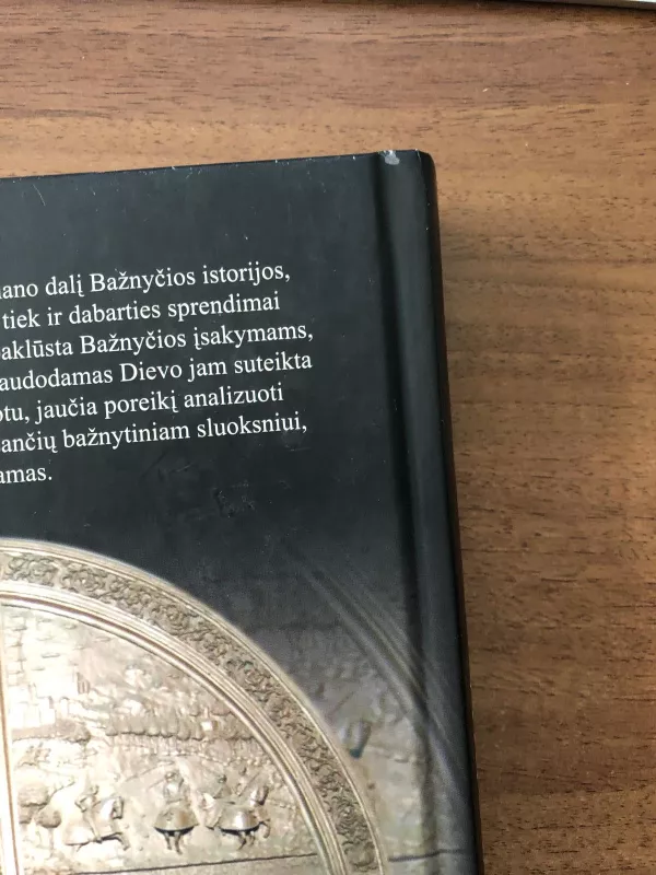 Popiežių istorija: nuo Šv. Petro iki Benedikto XVI - Autorių Kolektyvas, knyga