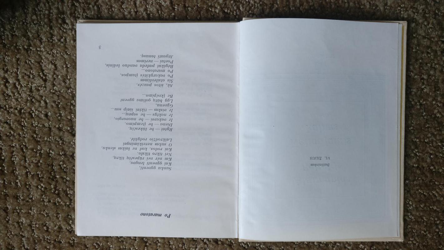 Keliaujantis kalnas - Algimantas Baltakis, knyga 2