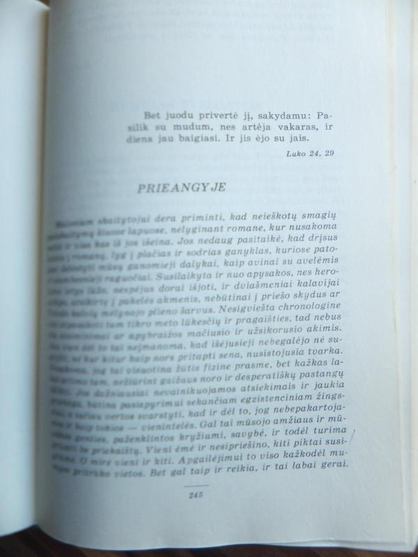 Užuovėja. Išėjusiems negrįžti - Marius Katiliškis, knyga 3