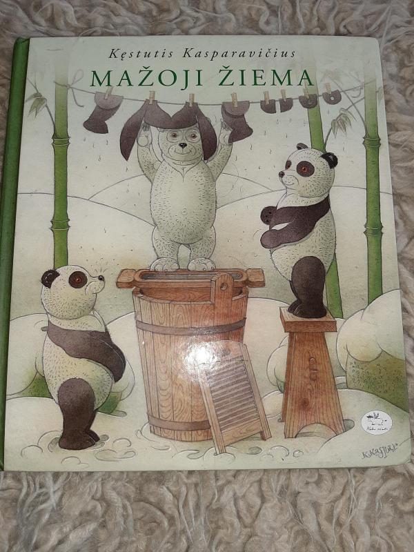 Mažoji žiema - Kęstutis Kasparavičius, knyga 4