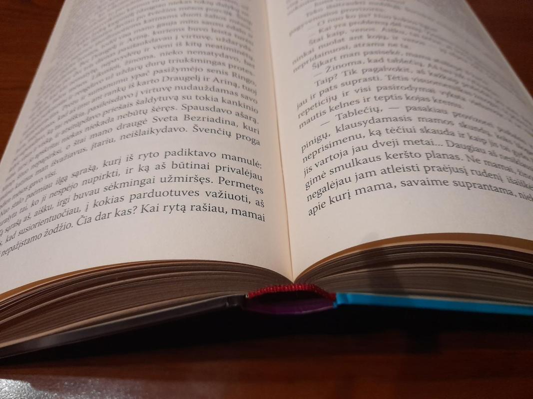 Pelėkautų spyruoklė - Aleksandra Marinina, knyga 3