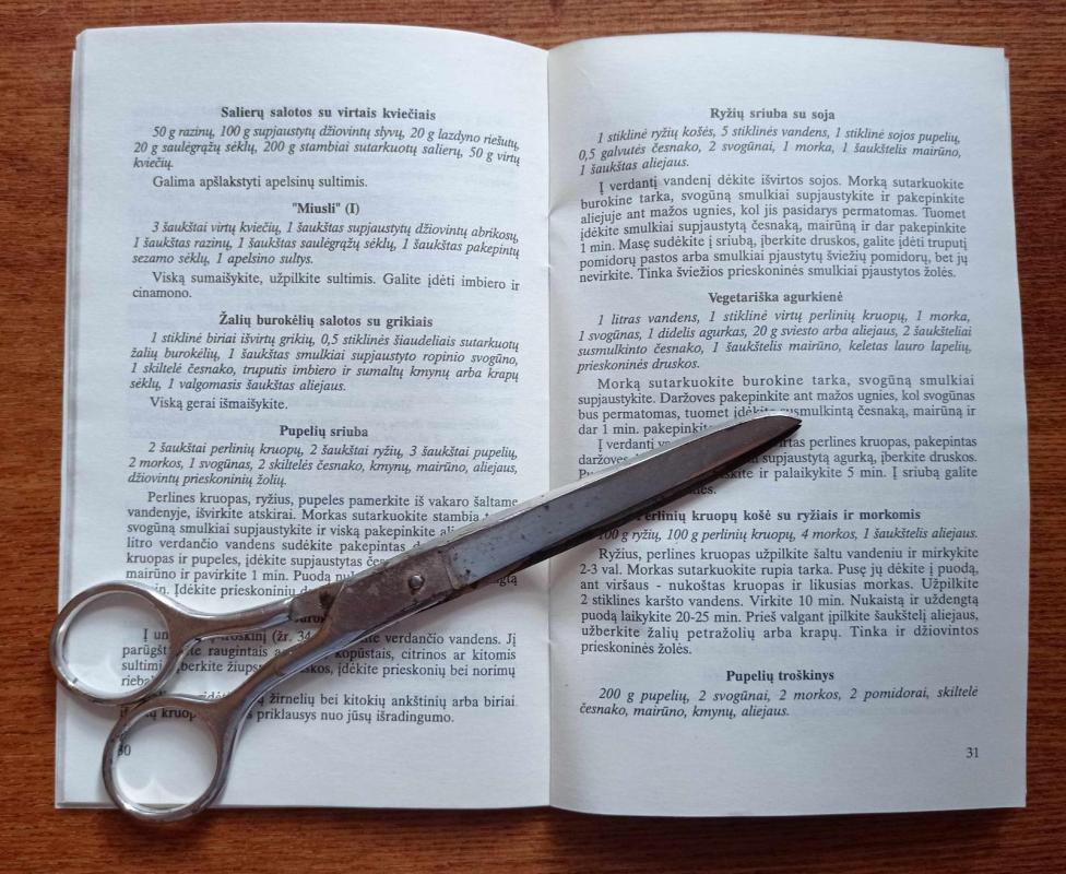 Amžinos jaunystės maistas - Mečislava Adamavičiūtė, knyga 4