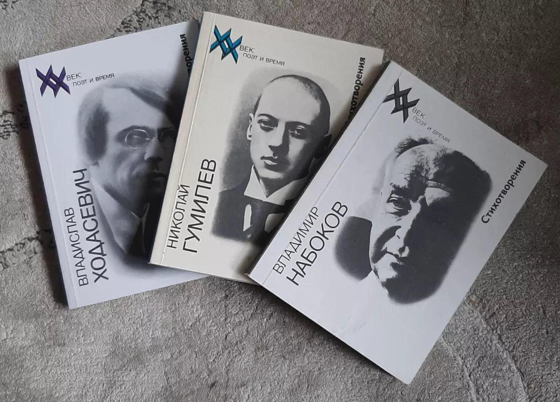 XX век: поэт и время - Autorių Kolektyvas, knyga