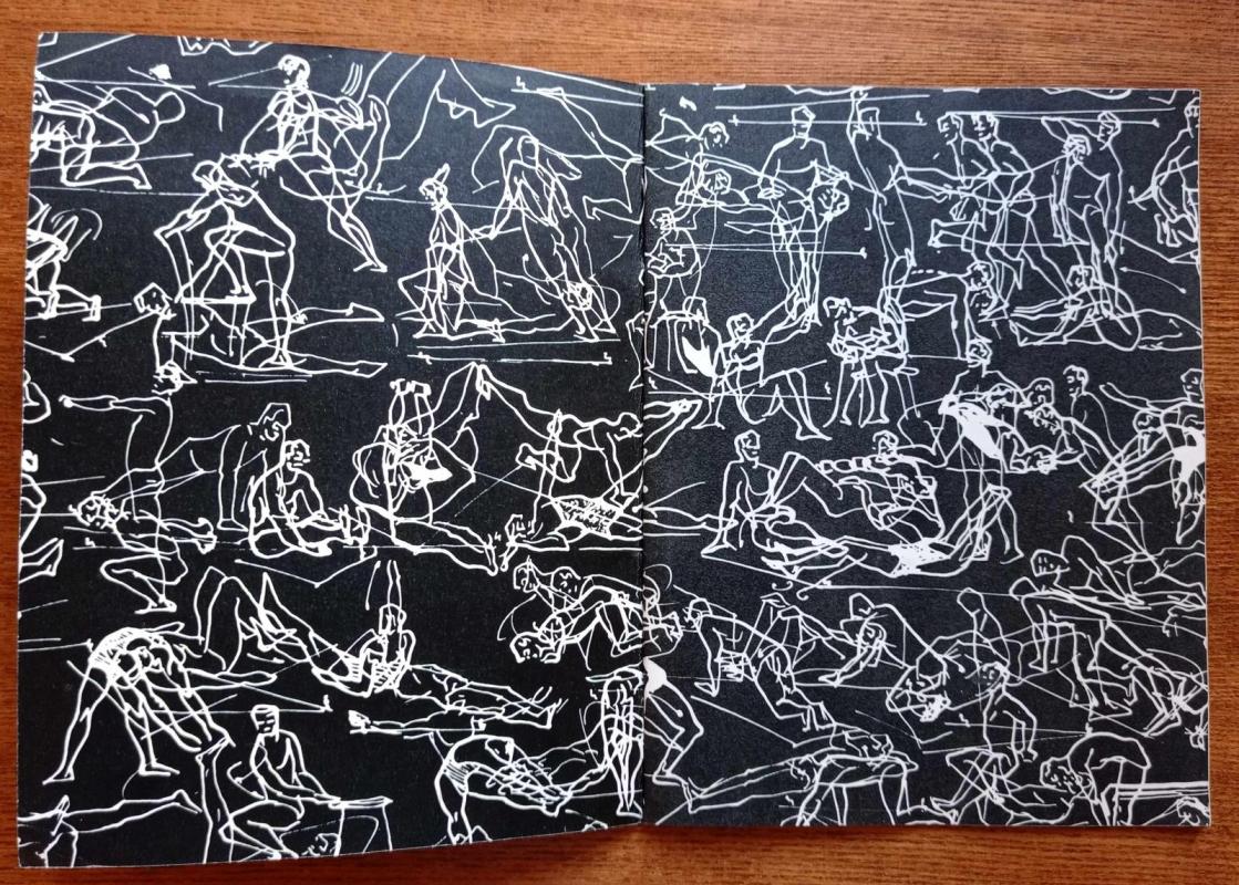 Druskininkų gydomosios fizinės kultūros parkas - Gediminas Rimdeika, knyga 5