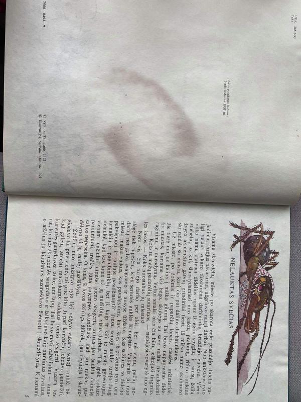 Skruzdėlytės Greitutės nuotykiai - Vytautas Tamulaitis, knyga