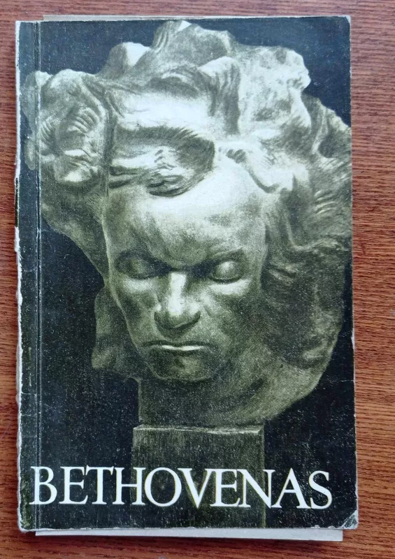 Bethovenas - L. Keršner, knyga 5