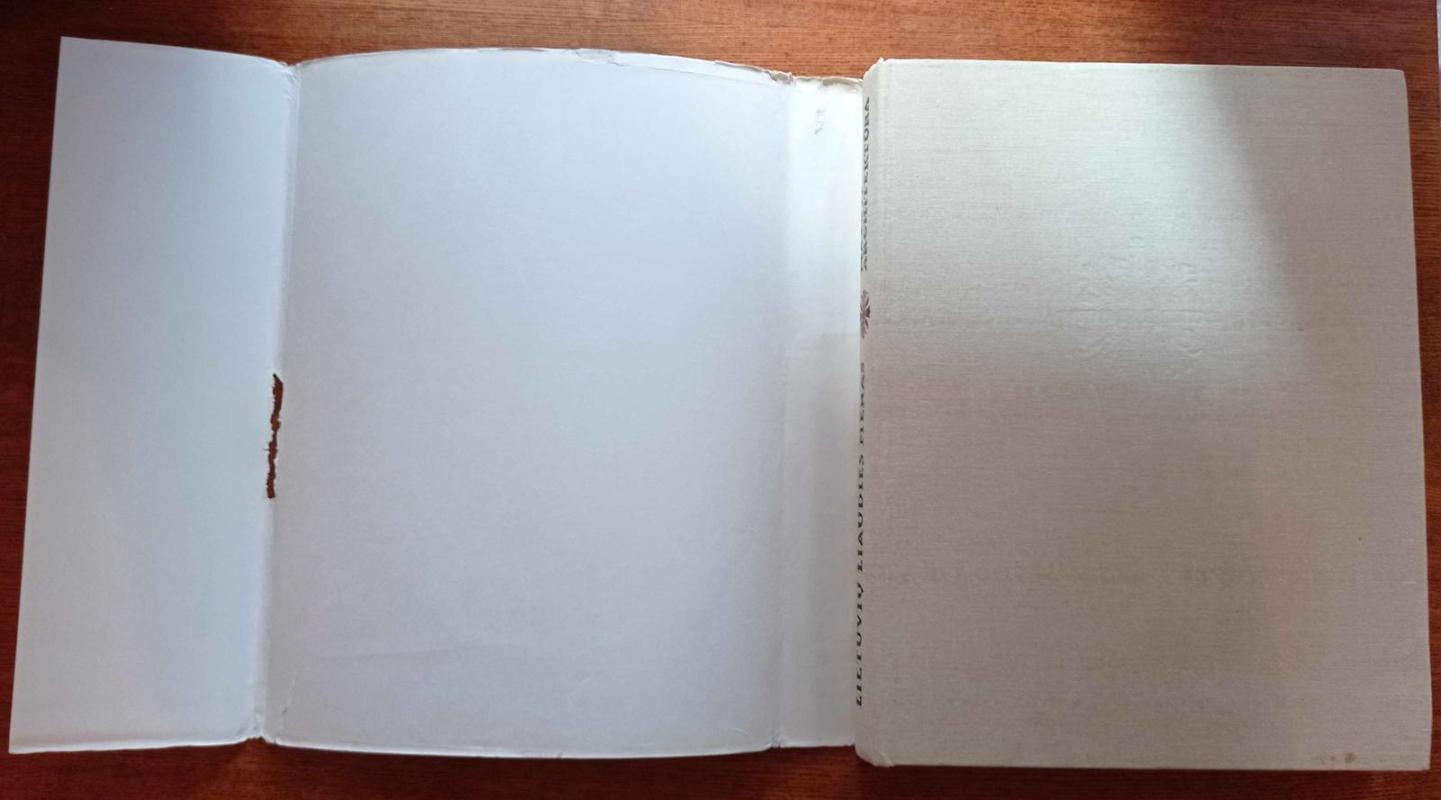 Lietuvių liaudies menas: Mažoji architektūra (II knyga) - Autorių Kolektyvas, knyga 5