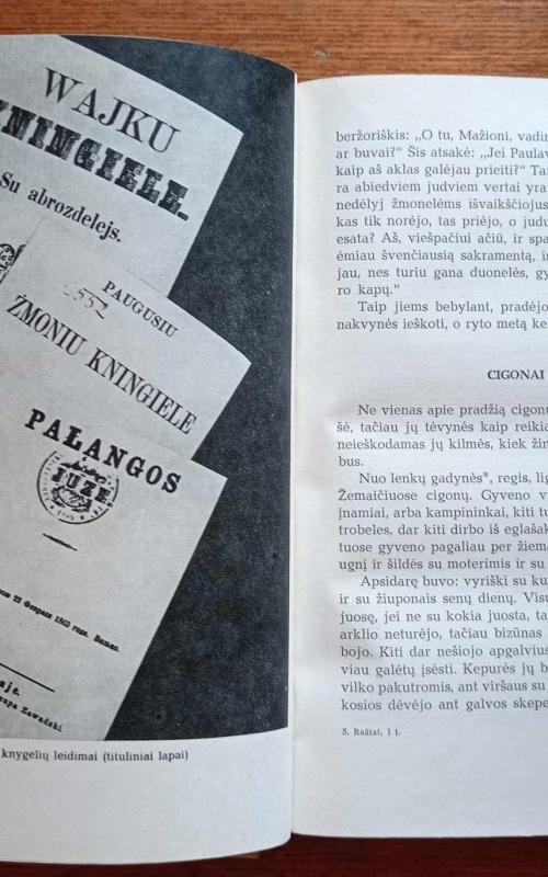 Raštai (I tomas) - Motiejus Valančius, knyga 5