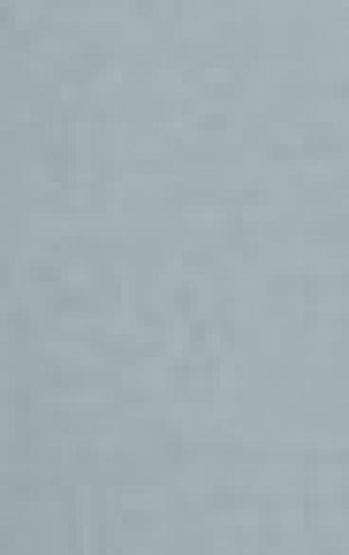 Šunys ir šuniukai - Katherine Starke, knyga 3