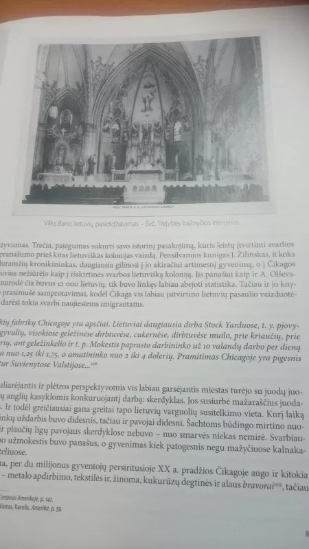 Lietuvių pasaulio istorijos - Egidijus Aleksandravičius, knyga