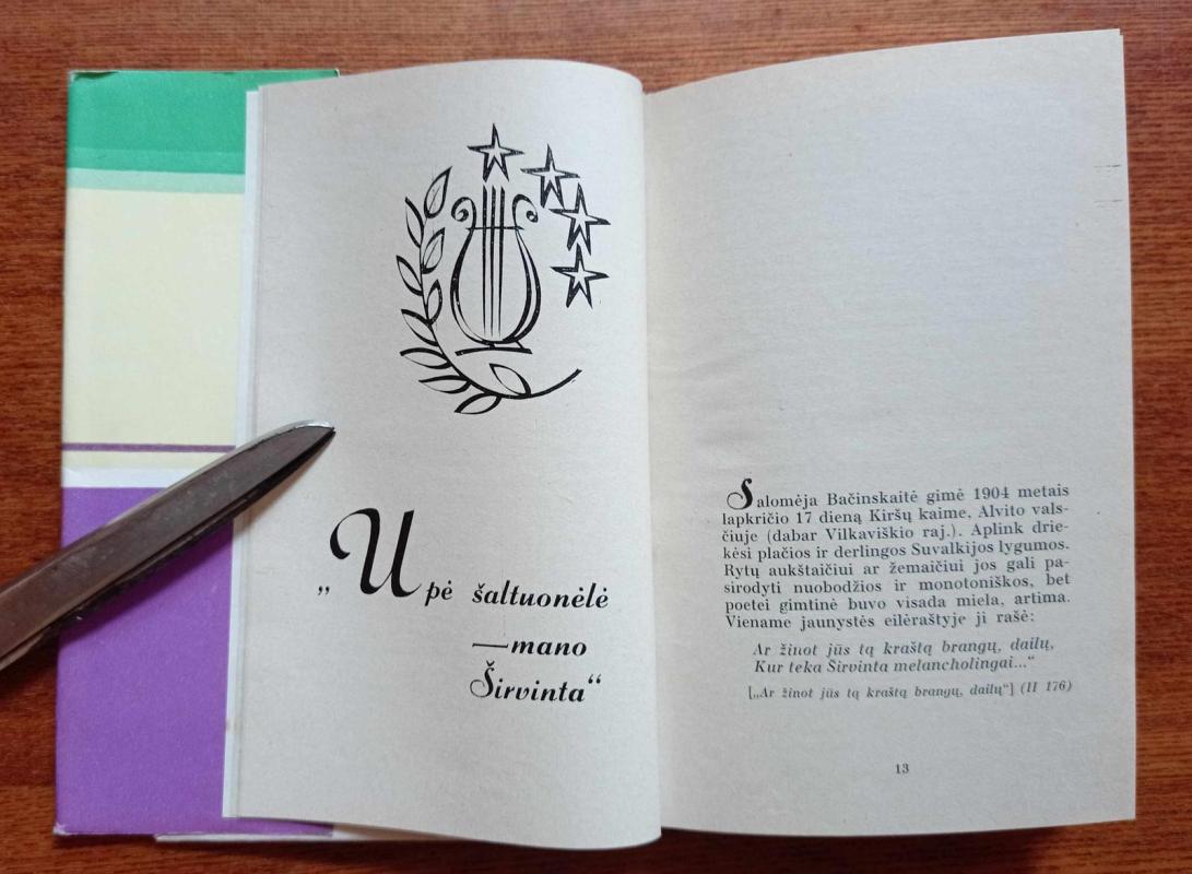 Salomėja Nėris - Vitas Areška, knyga 4