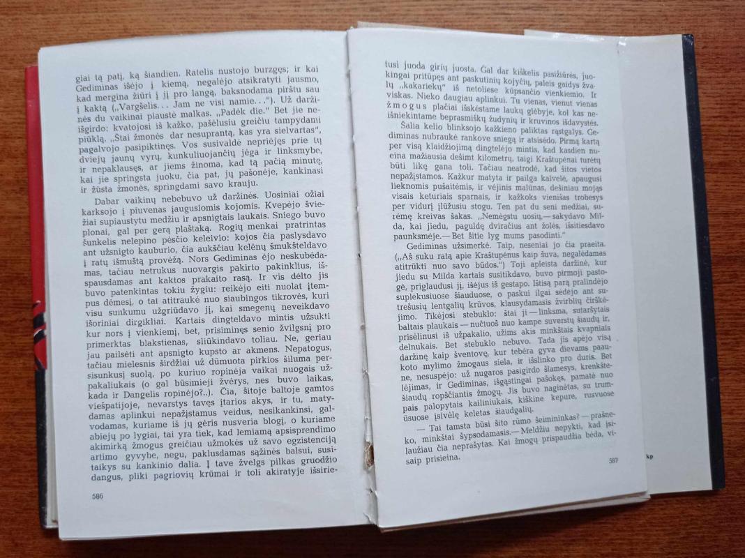 Sodybų tuštėjimo metas - Jonas Avyžius, knyga 5