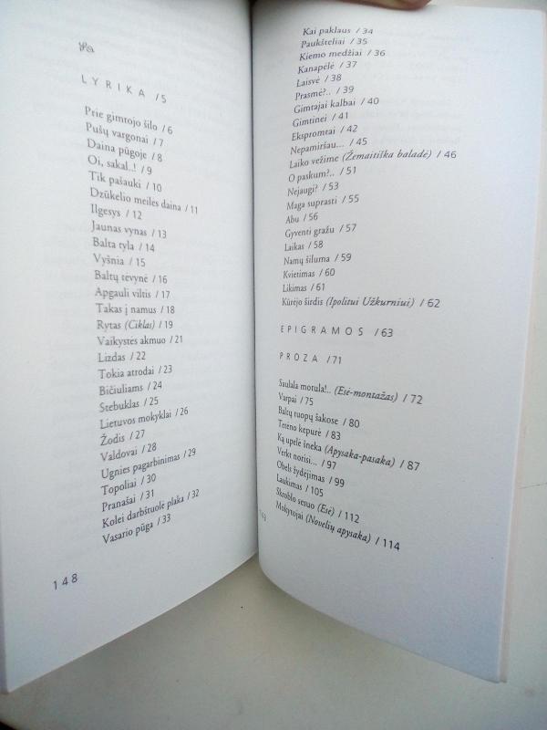 Ilgesys ir atminimas - Vytautas Mizeras, knyga 4