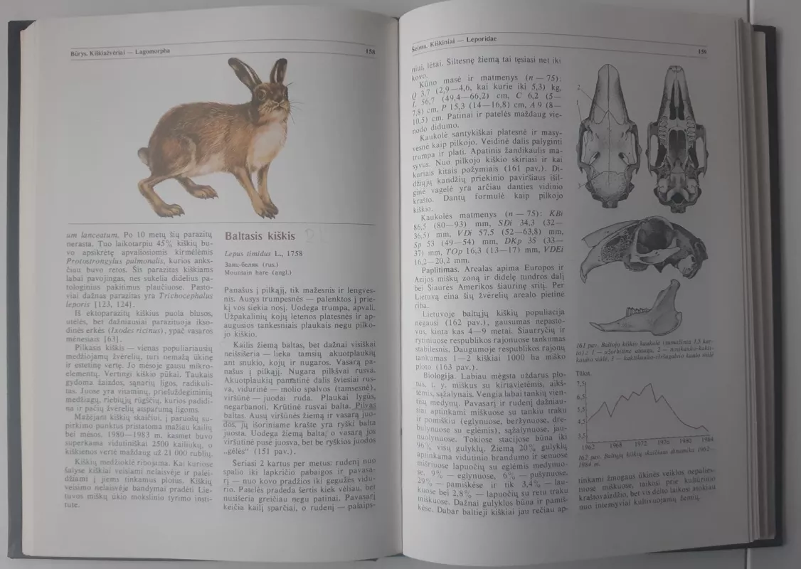 Lietuvos fauna. Žinduoliai - Autorių Kolektyvas, knyga 3
