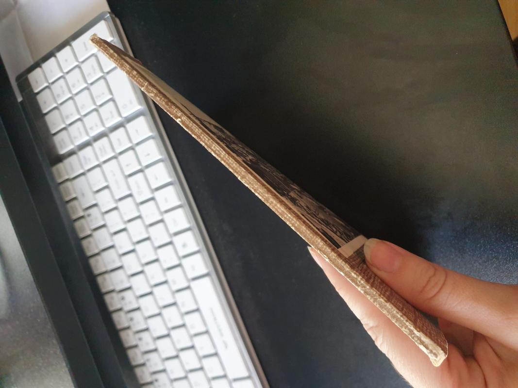 Airija - N. Jakovlevas, knyga 3