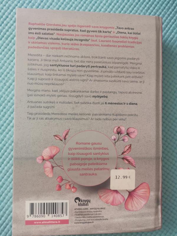 kupidonas kartoniniais sparnais - Raphaëlle Giordano, knyga 3