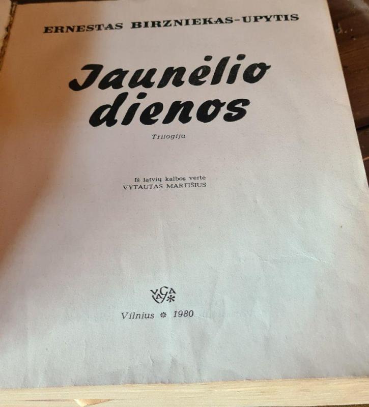 Jaunėlio dienos - Ernestas Birzniekas-Upytis, knyga 3