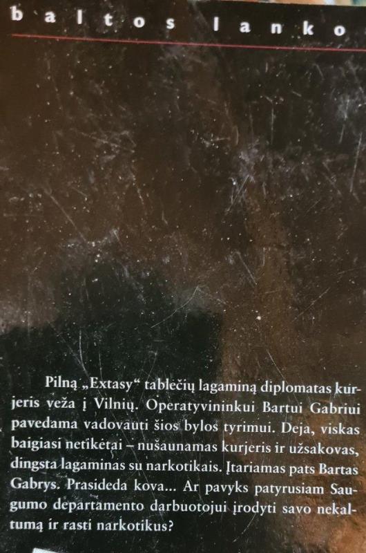 Patvarumo riba - Raidas Dubrė, knyga 3