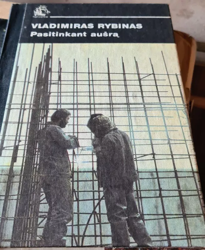 Pasitinkant aušrą - Vladimiras Rybinas, knyga 3