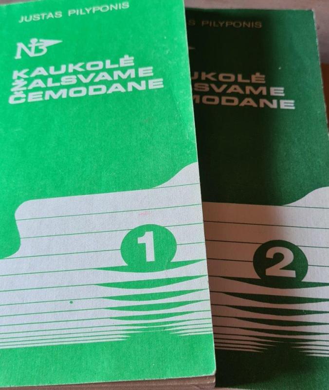 Kaukolė žalsvame čemodane (2 dalys) - Justas Pilyponis, knyga 2