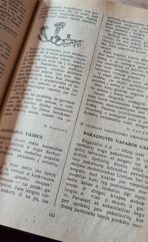 Miško laikraštis - Vitalijus Biankis, knyga 3