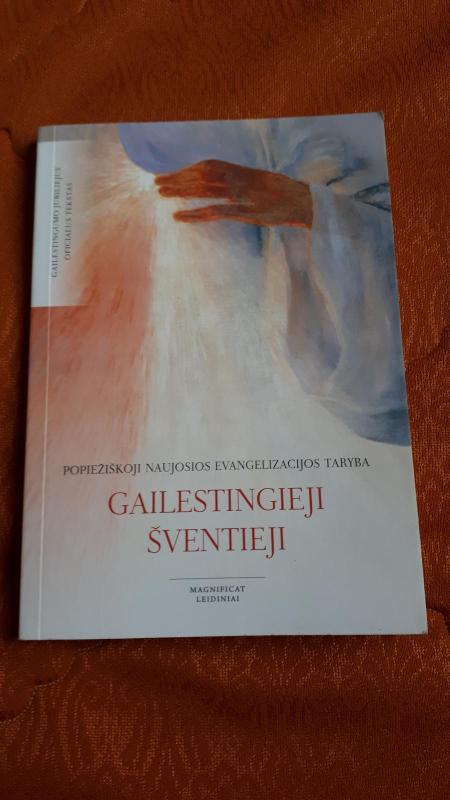 Gailestingieji Šventieji - Autorių Kolektyvas, knyga 3