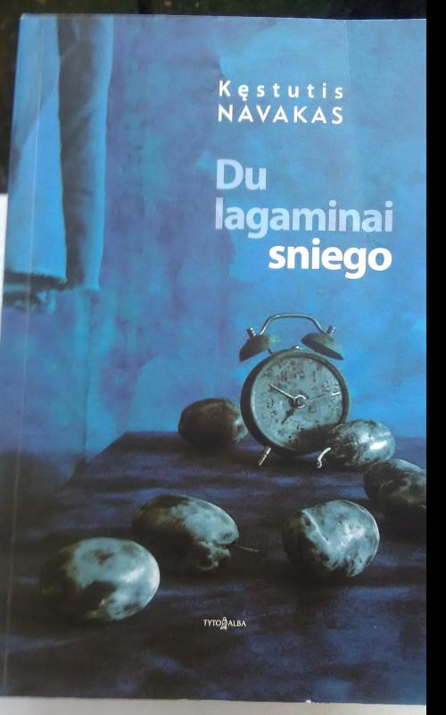 Du lagaminai sniego: esė - Kęstutis Navakas, knyga 2